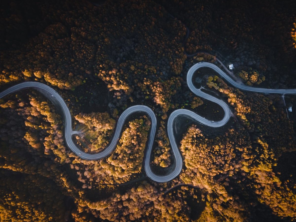 A winding road seen from above, through the autumn trees
